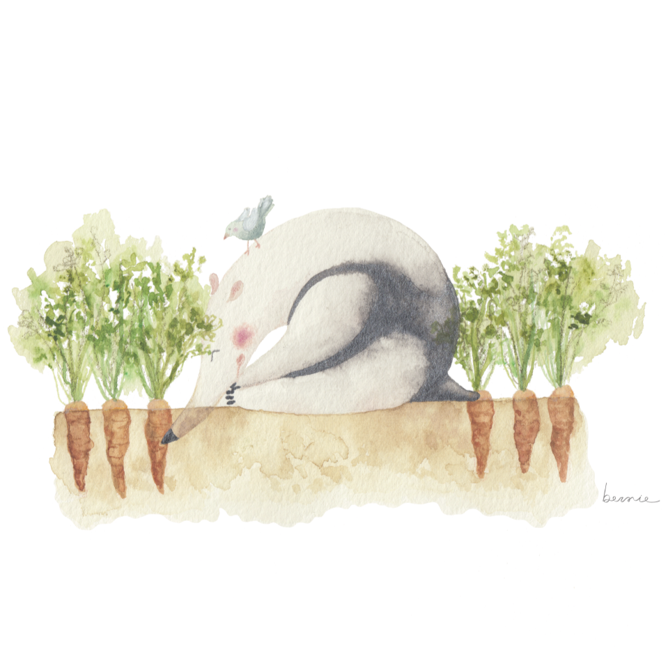 • Patricio y zanahorias •