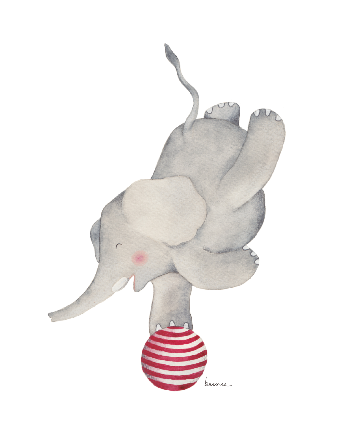 • Elefante equilibrio •
