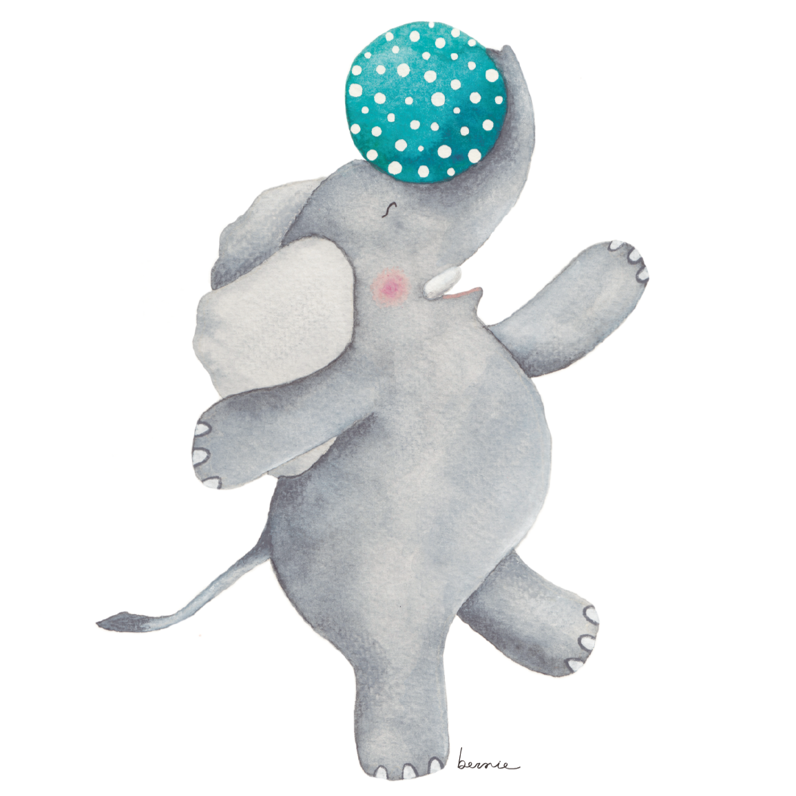 • Elefante y su pelota •