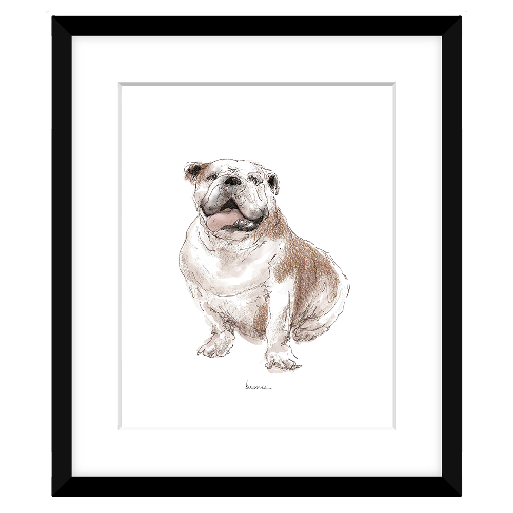 • Bulldog sentado •