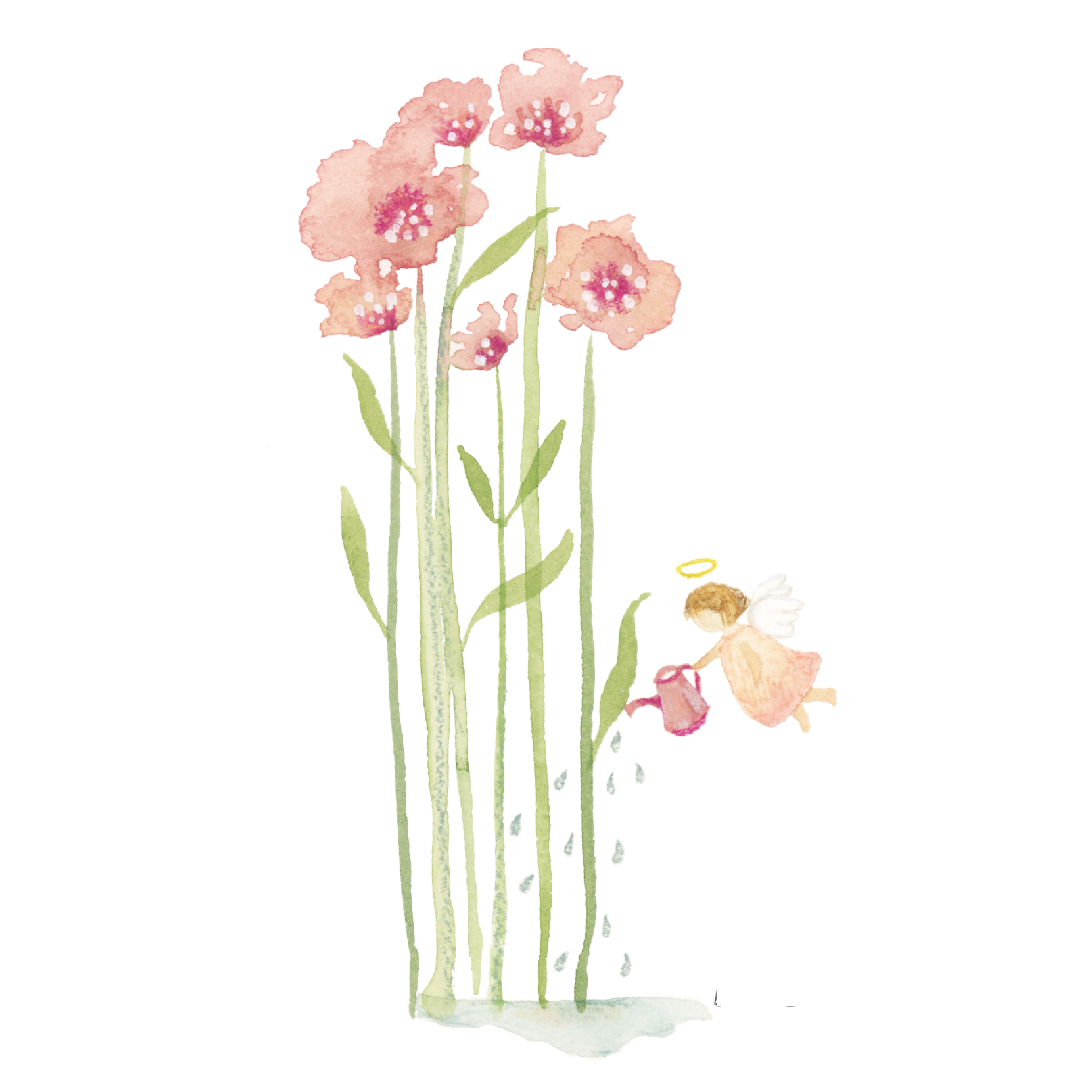 • Ángel flores •