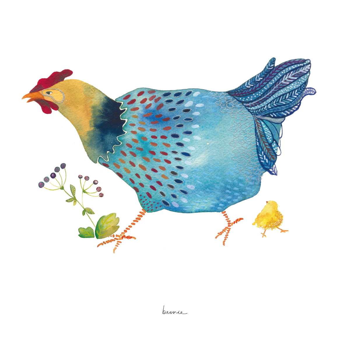 • Gallina celeste •