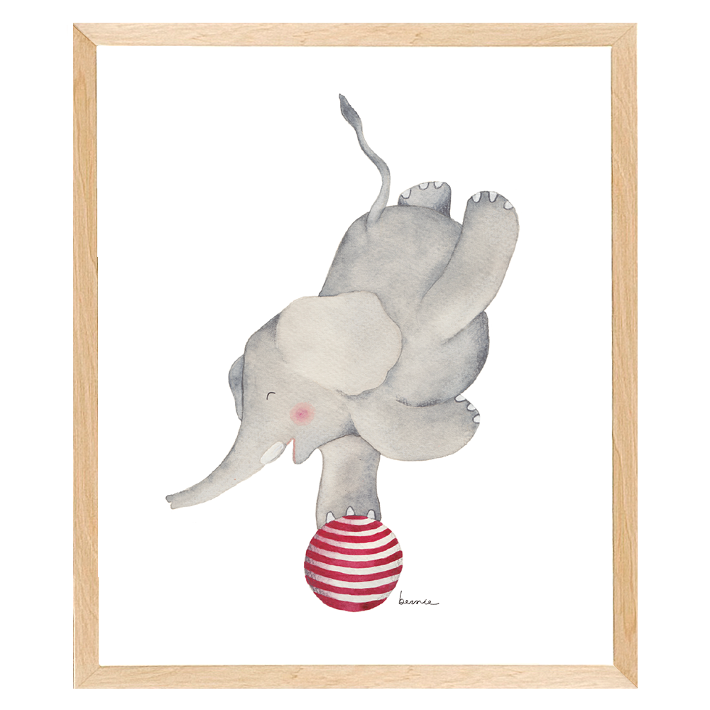 • Elefante equilibrio •