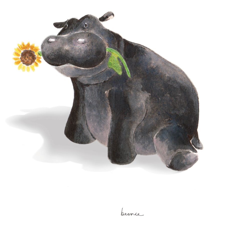 • Jipo y el girasol •