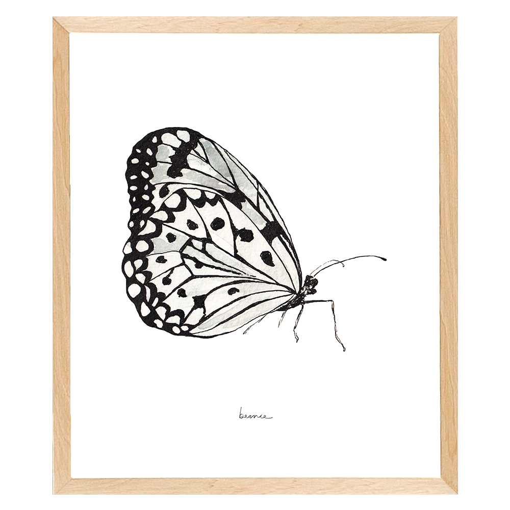 • Mariposa blanca •