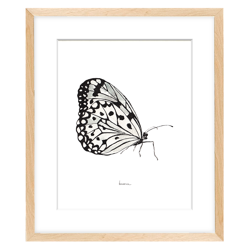 • Mariposa blanca •