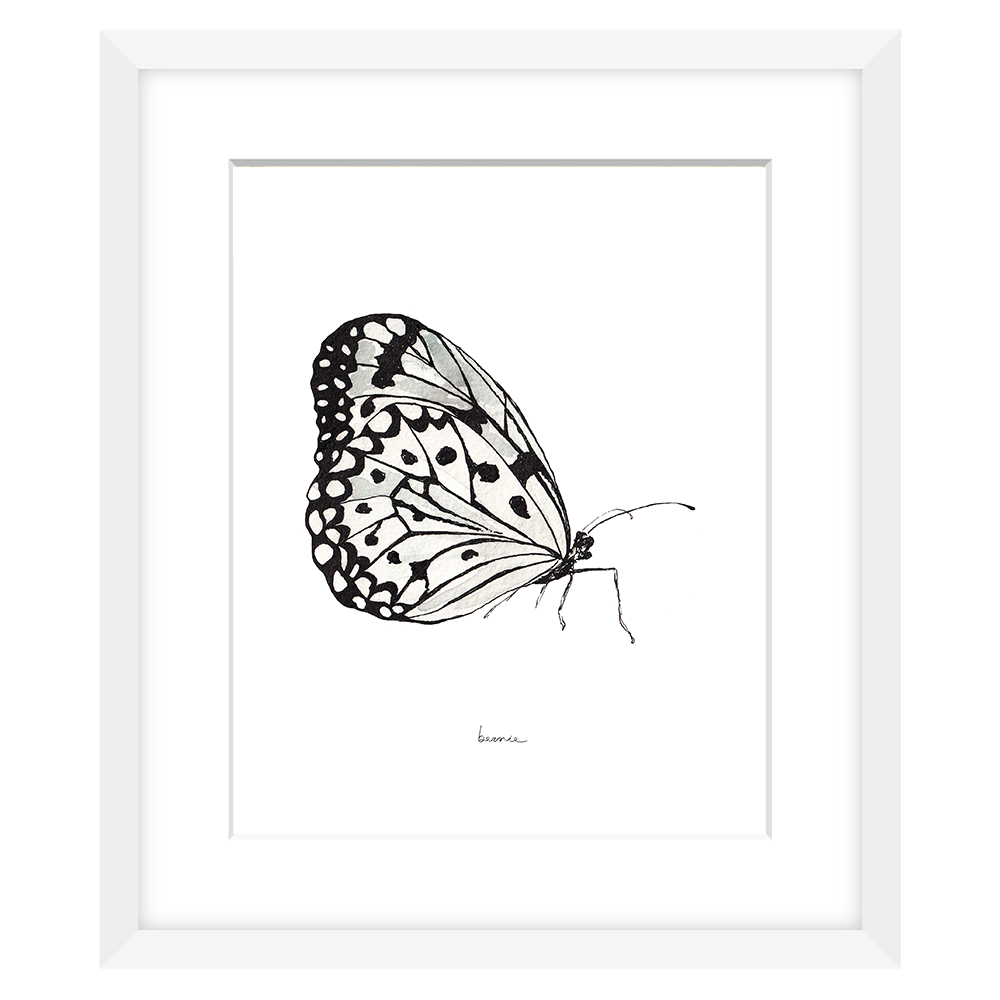 • Mariposa blanca •