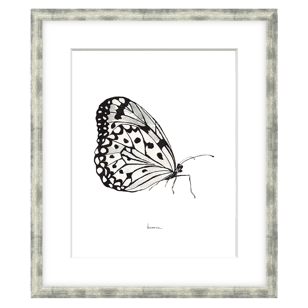 • Mariposa blanca •