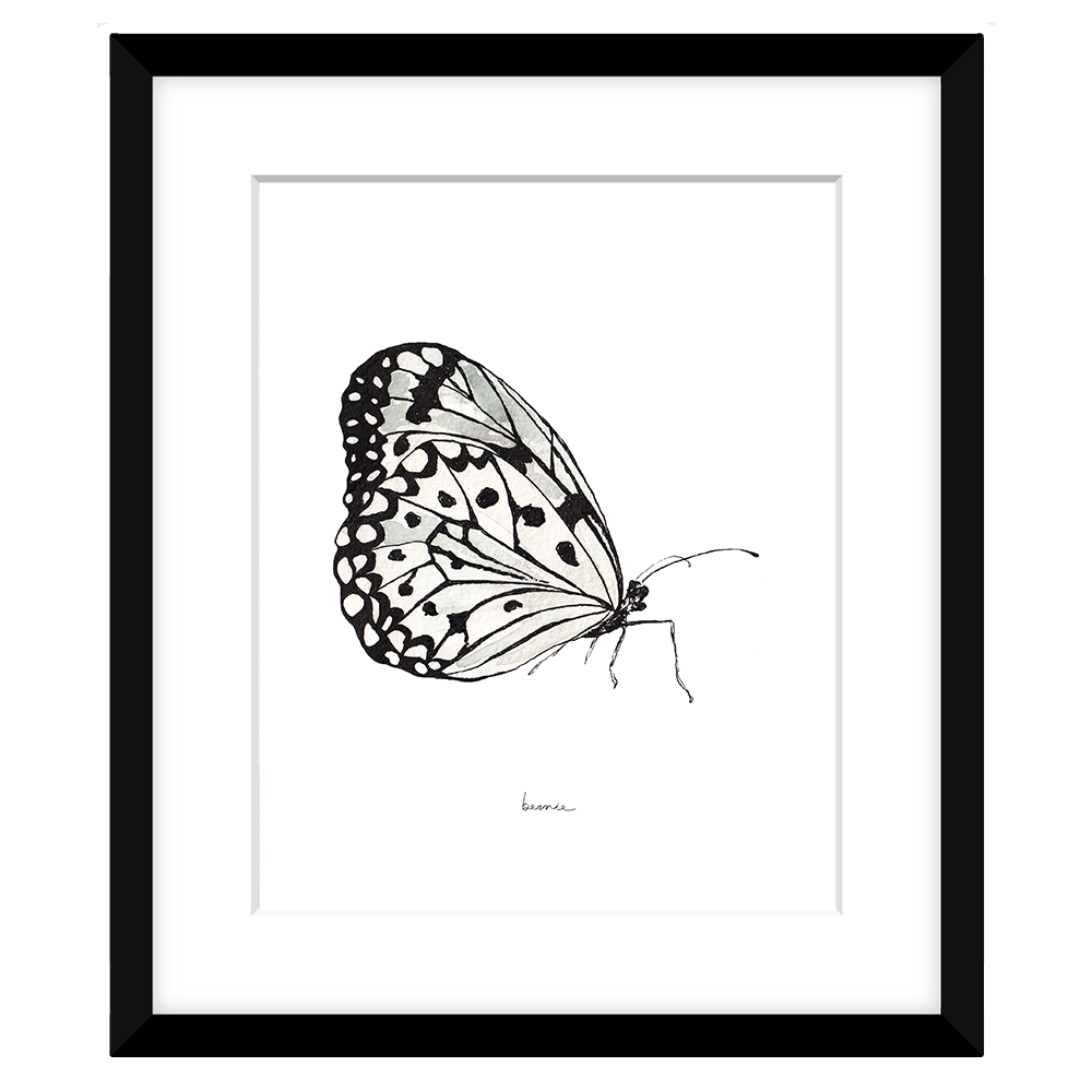 • Mariposa blanca •