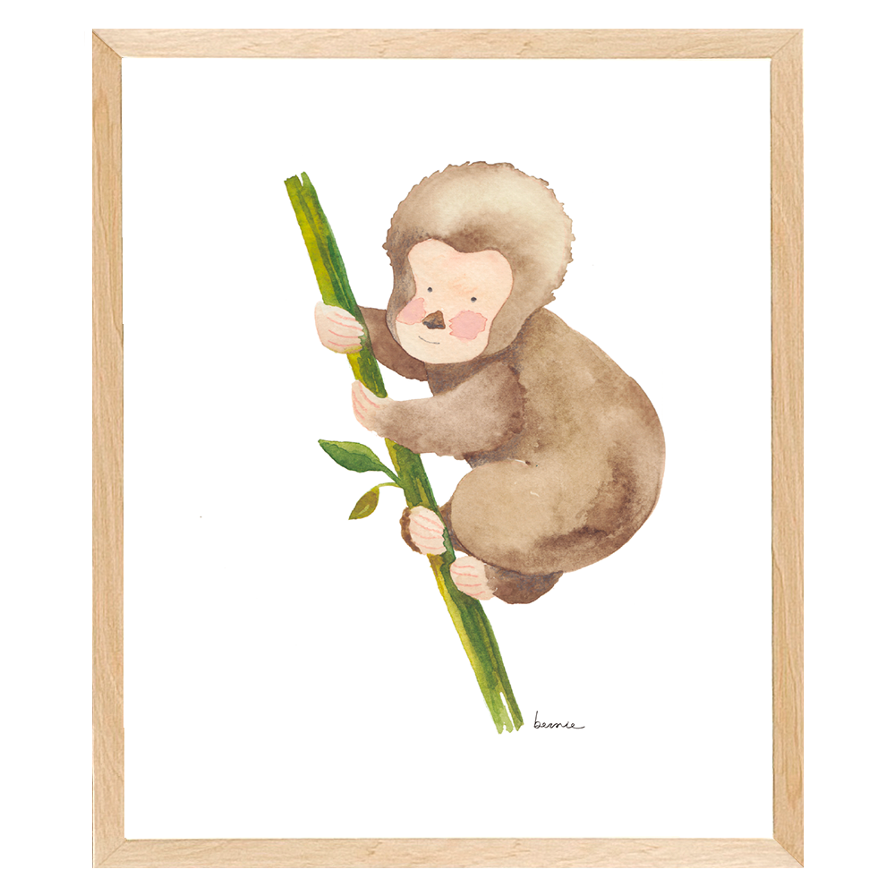 • Monito •