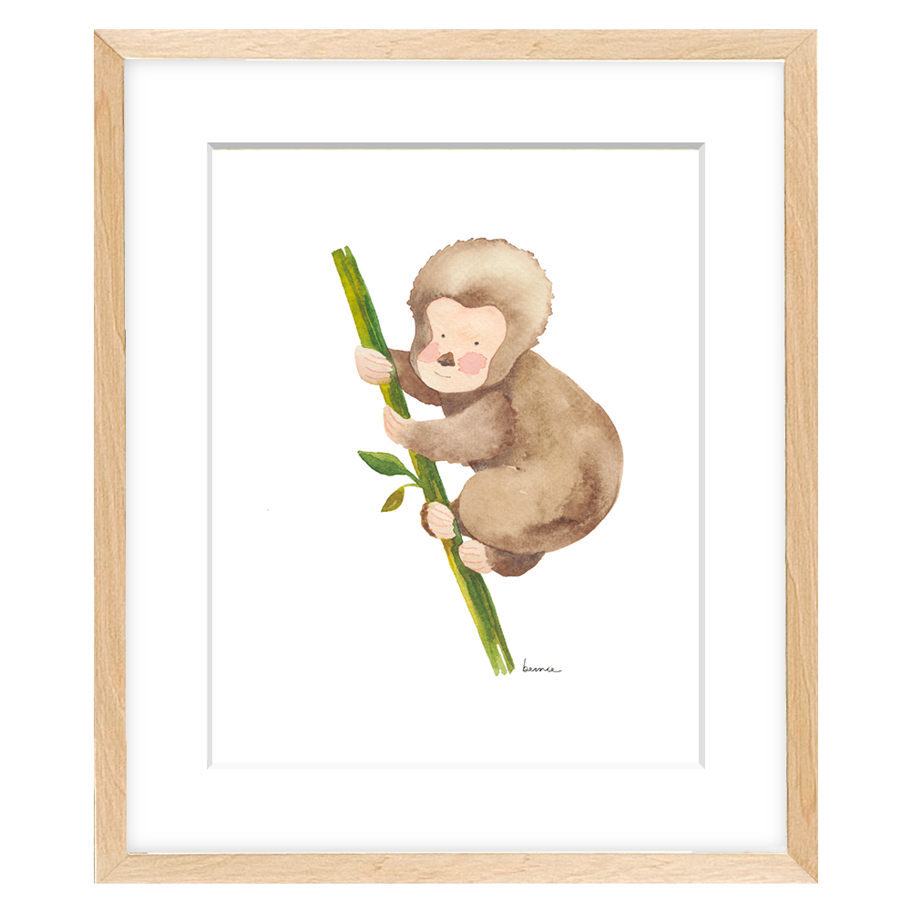 • Monito •
