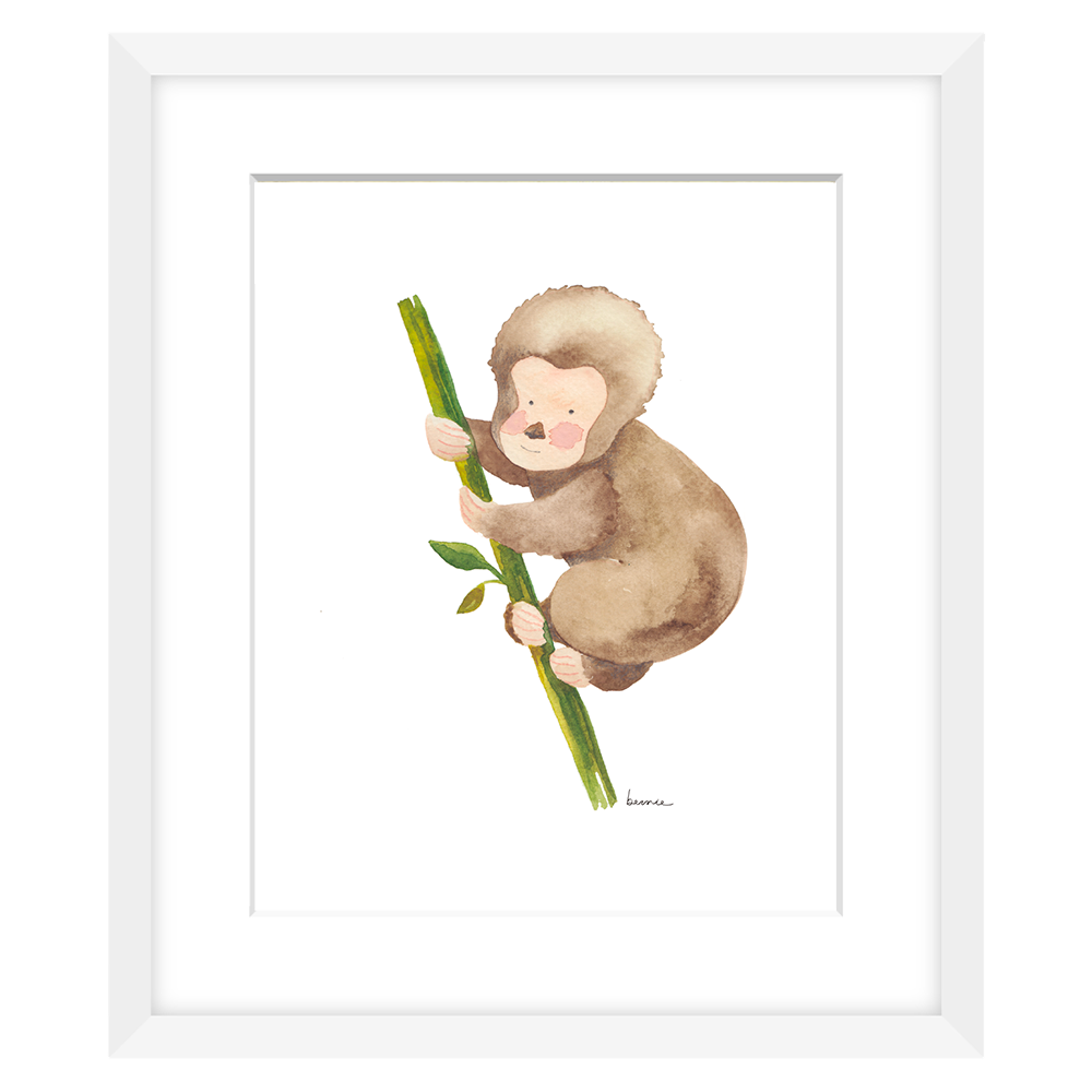 • Monito •