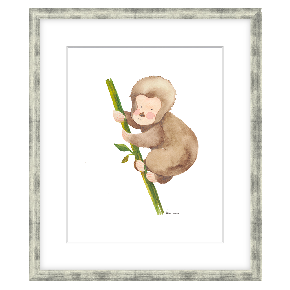 • Monito •
