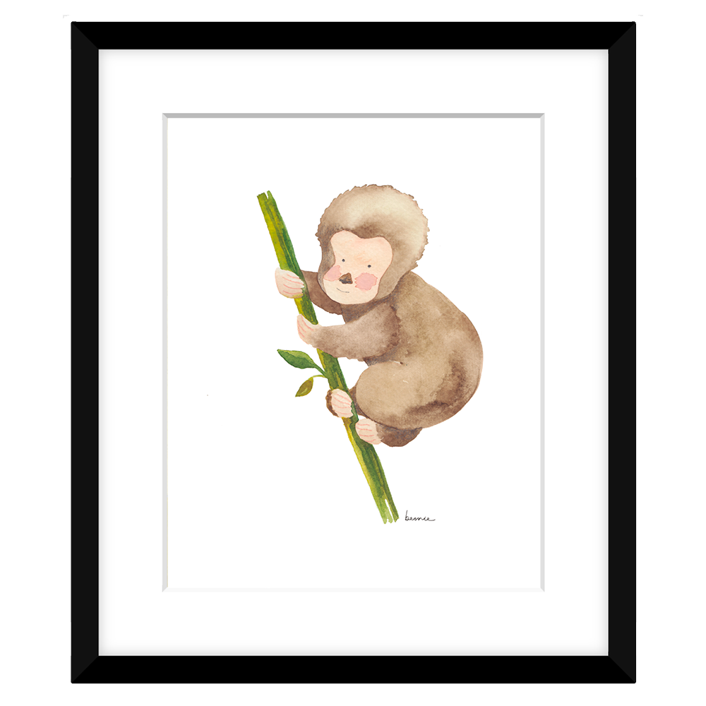 • Monito •